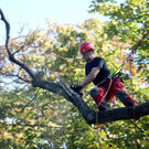 ABD0006-20120829.jpg