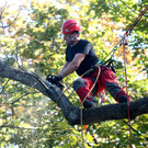 ABD0007-20120829.jpg