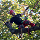 ABD0010-20120829.jpg