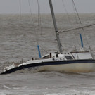 IBD0790-20120828.jpg