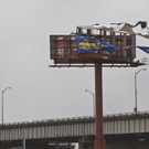 IBD0262-20120829.jpg