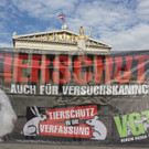 Tierschutz 049.JPG