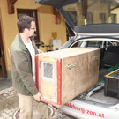 ZooLuchs29081201.jpg