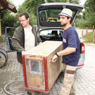 ZooLuchs29081202.jpg