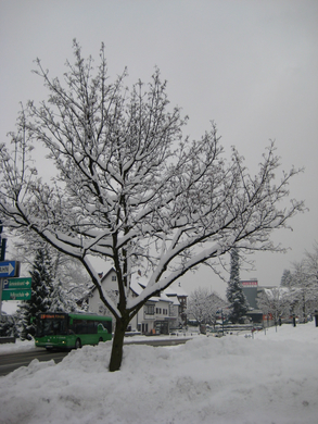 IMG_4134.JPG