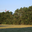 Brand bei den Steinhofgründen am 29. August