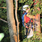 29082012segelde01001aktivnews_151.jpg