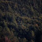 29082012segelde01001aktivnews_027.jpg