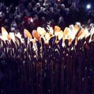 IBD0146-20120830.jpg