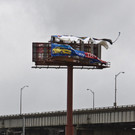 IBD0263-20120829.jpg