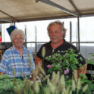 Bilder von der Schranne