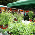 normal_30082012fmt_schranne_mw_022.JPG