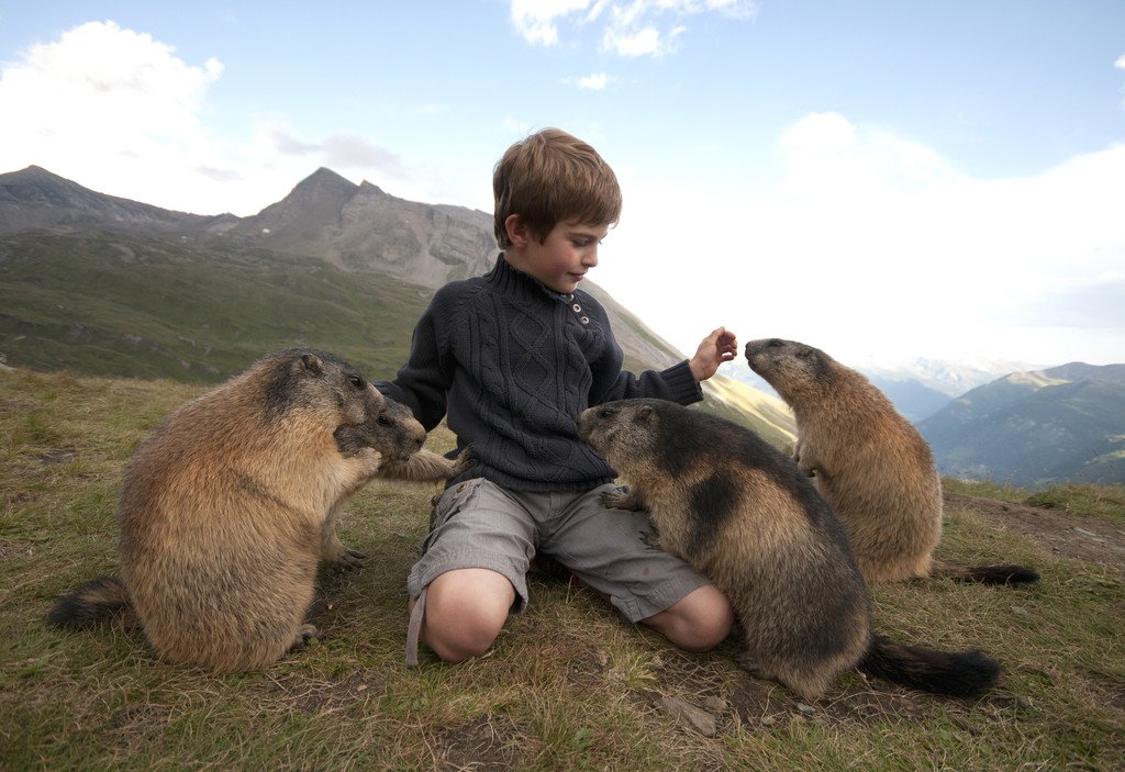 walch1.jpg