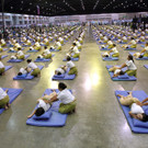 IBD0423-20120830.jpg