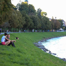 2a596a50db8d9e4b494d1107ad4da403_640.jpg