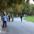 2408ccc196cb83b137695b4c50423911_640.jpg