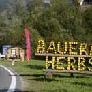 300812bauernherbstat04003aktivnews031.JPG