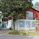 Kindergarten Levis.jpg