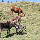 IMG_6119.jpg
