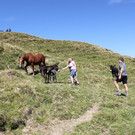 IMG_6121.jpg