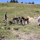 IMG_6127.jpg