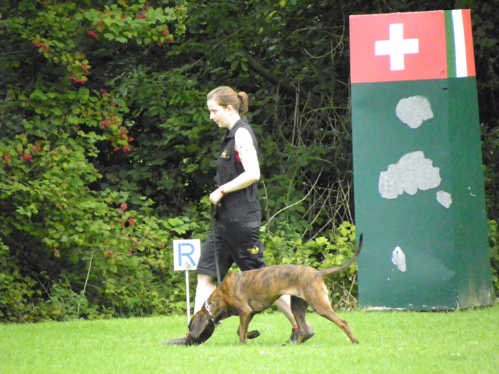 115_8819_JPG-1346348315