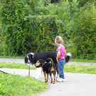 115_8832_JPG-1346348358