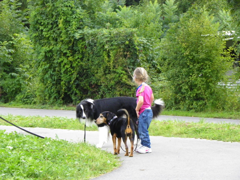 115_8832_JPG-1346348358