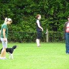 115_8829_JPG-1346348351