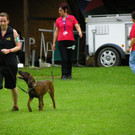 115_8800_JPG-1346348248