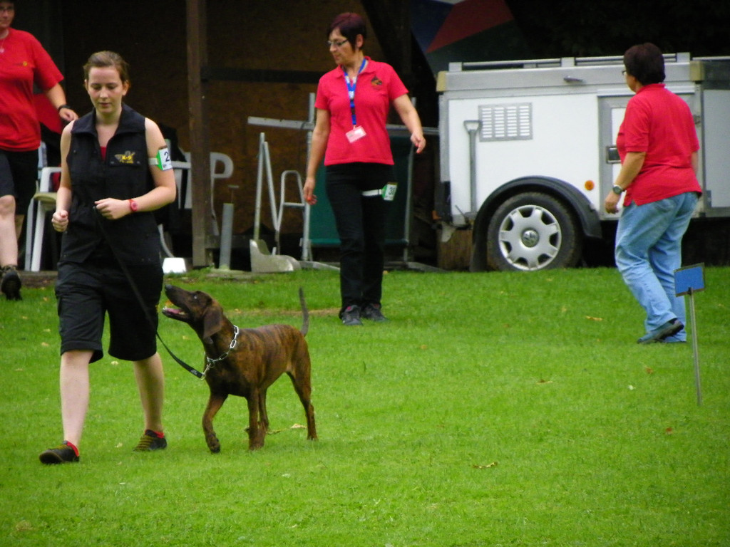 115_8800_JPG-1346348248