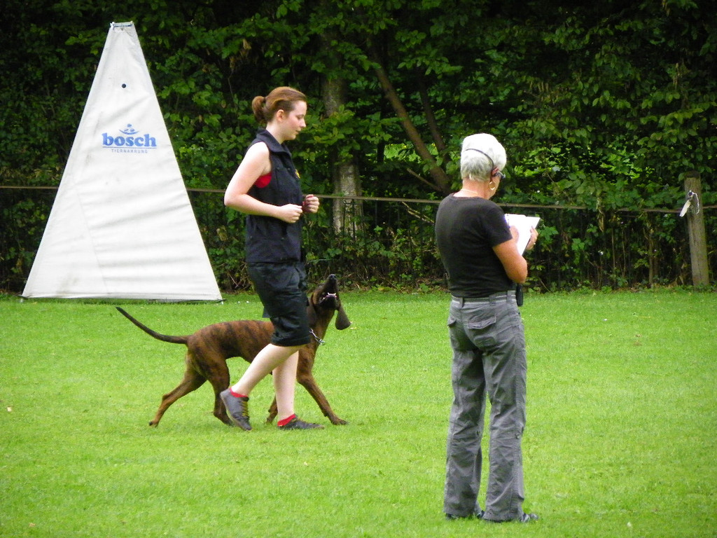 115_8807_JPG-1346348269