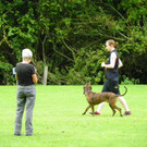 115_8810_JPG-1346348277