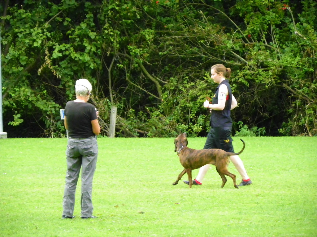 115_8810_JPG-1346348277