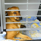 115_8811_JPG-1346348284