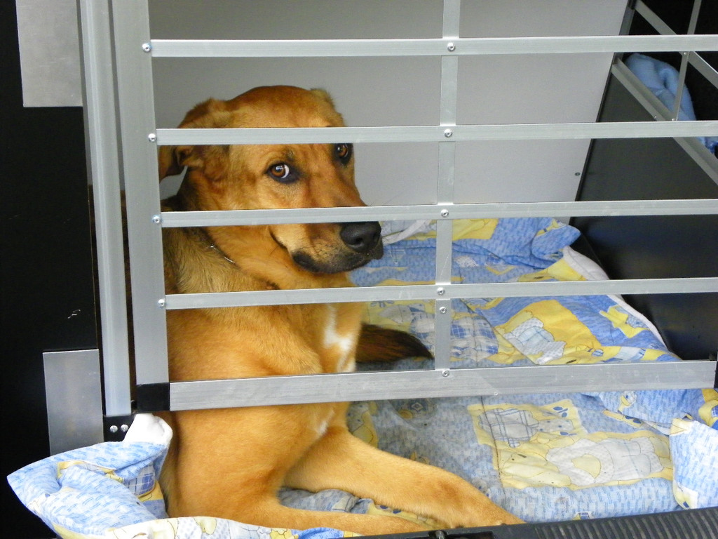 115_8811_JPG-1346348284