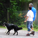 115_8812_JPG-1346348292