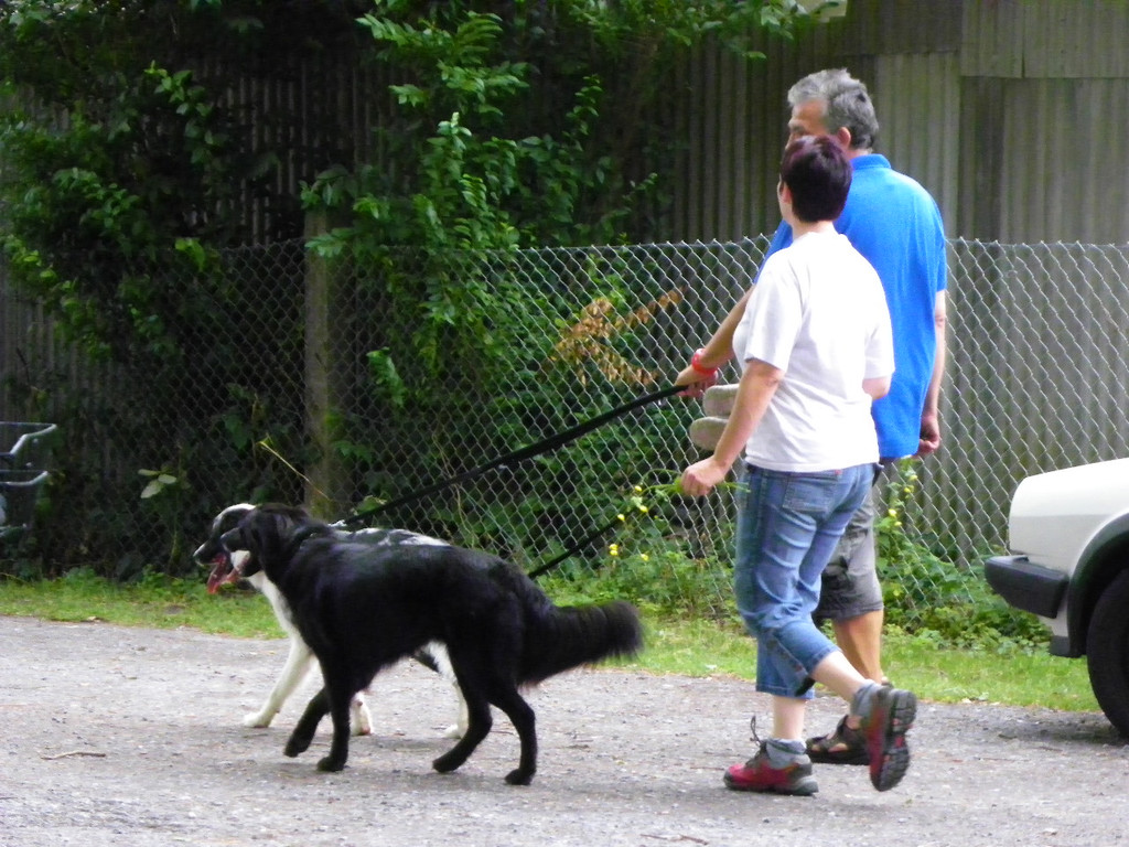 115_8812_JPG-1346348292