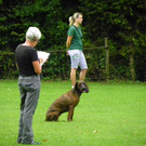 115_8813_JPG-1346348299