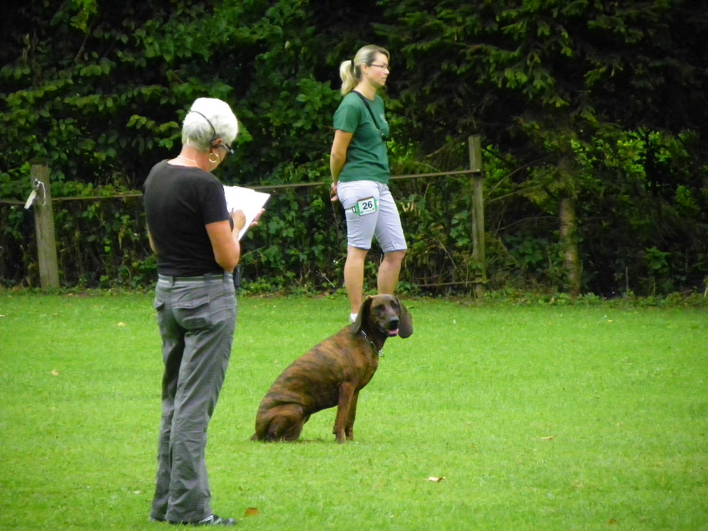 115_8813_JPG-1346348299