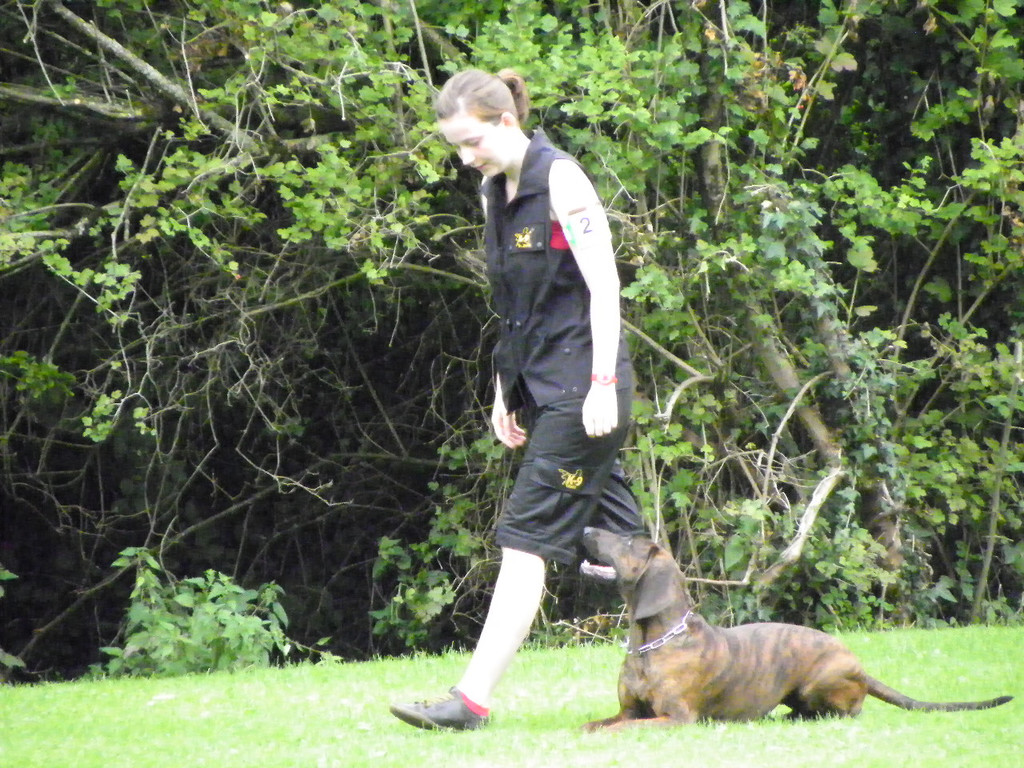 115_8821_JPG-1346348322