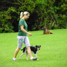 115_8823_JPG-1346348329