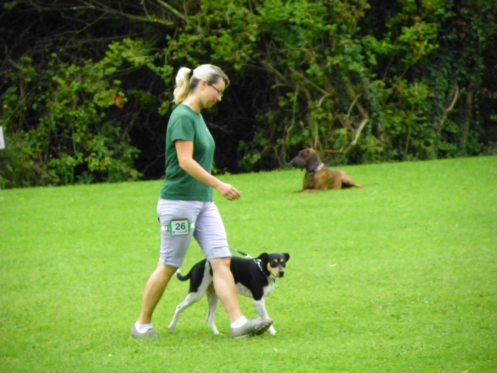 115_8823_JPG-1346348329