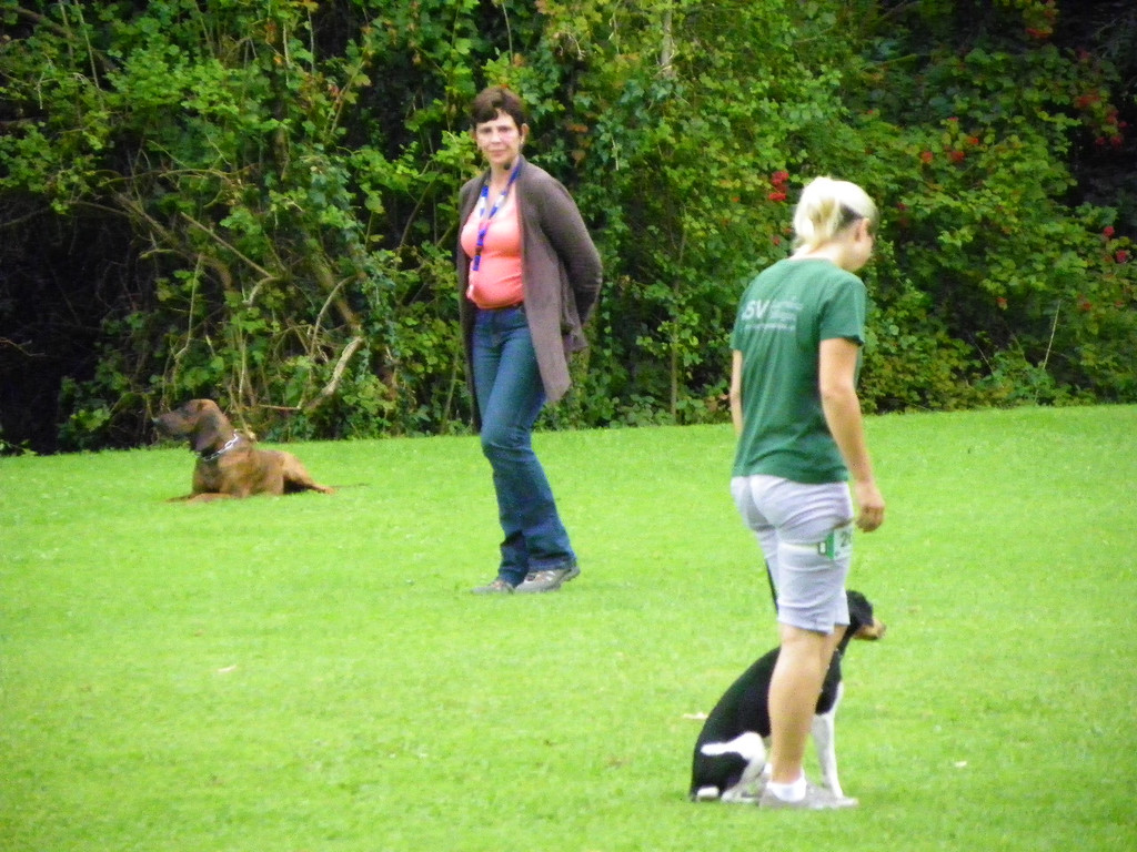 115_8825_JPG-1346348337