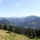 IMG_5986.jpg