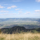 IMG_5994.jpg