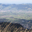 IMG_5995.jpg