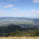 IMG_5996.jpg