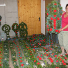 IMG_6185.jpg
