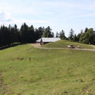 IMG_6216.jpg
